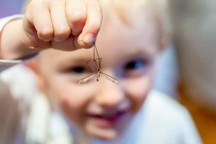 A young guest holds up a dead insect he found on the floor, during a wedding at the Meon Valley Hotel, near Southampton, in Hampshire.