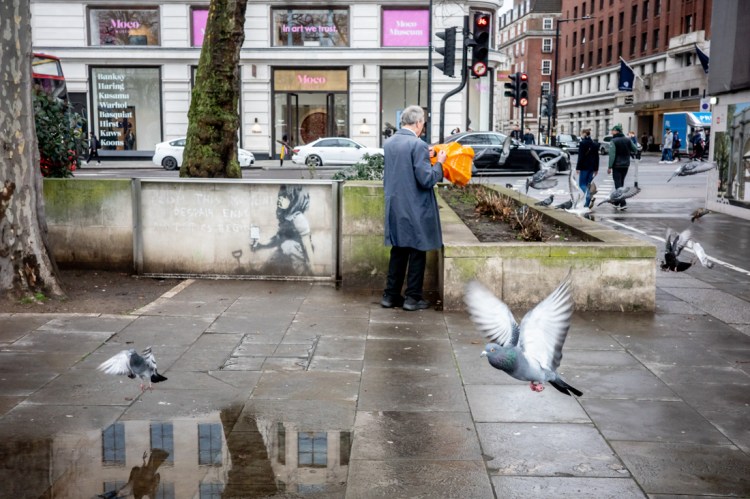 A man feeds birds by Marble Arch in London. Candid street photography by Darren Lehane