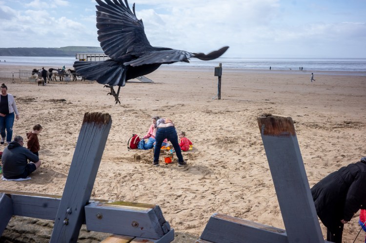 A crow flies above a man with his ass crack showing on Weston-super-Mare beach.