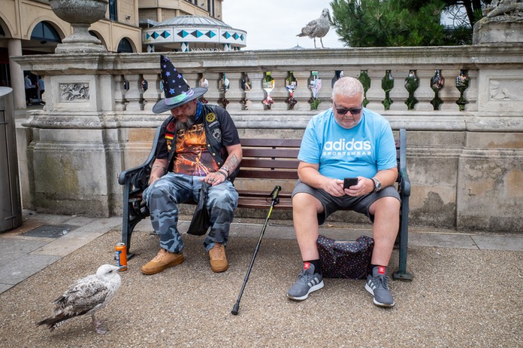 Candid street photography taken in the Italian Gardens, Weston-super-Mare, featuring two men sitting on a bench—one dressed in a wizard hat and Iron Maiden shirt, the other in an Adidas outfit using his phone—while a curious seagull stands in the foreground.
