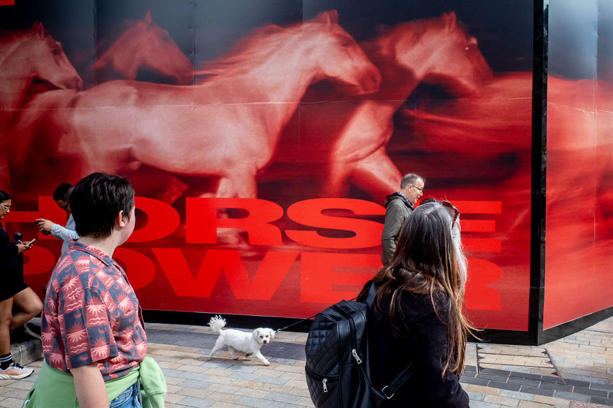 Candid street photography of a dog walking past horses on a billboard, on Oxford Circus in London.