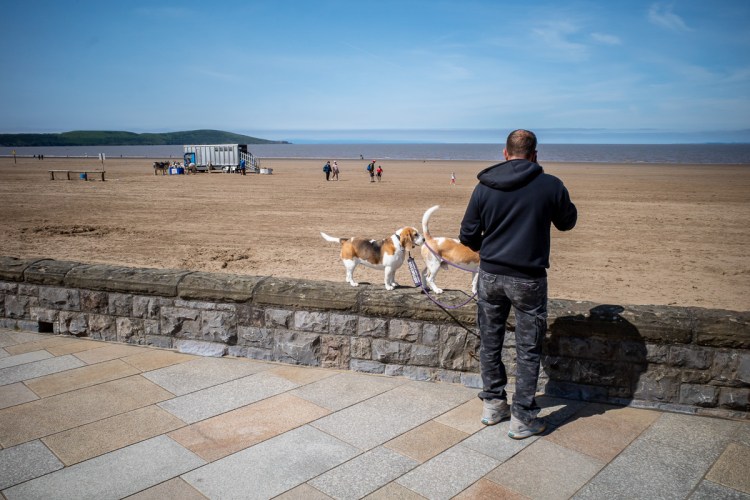 Candid street photography of a dog sniffing another dog's bum, on the seafront in Weston-super-Mare.