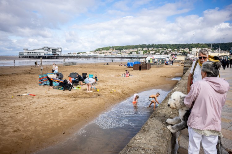 Candid street photography of a dog looking on as kids play on the beach, in Weston-super-Mare, North Somerset, UK.